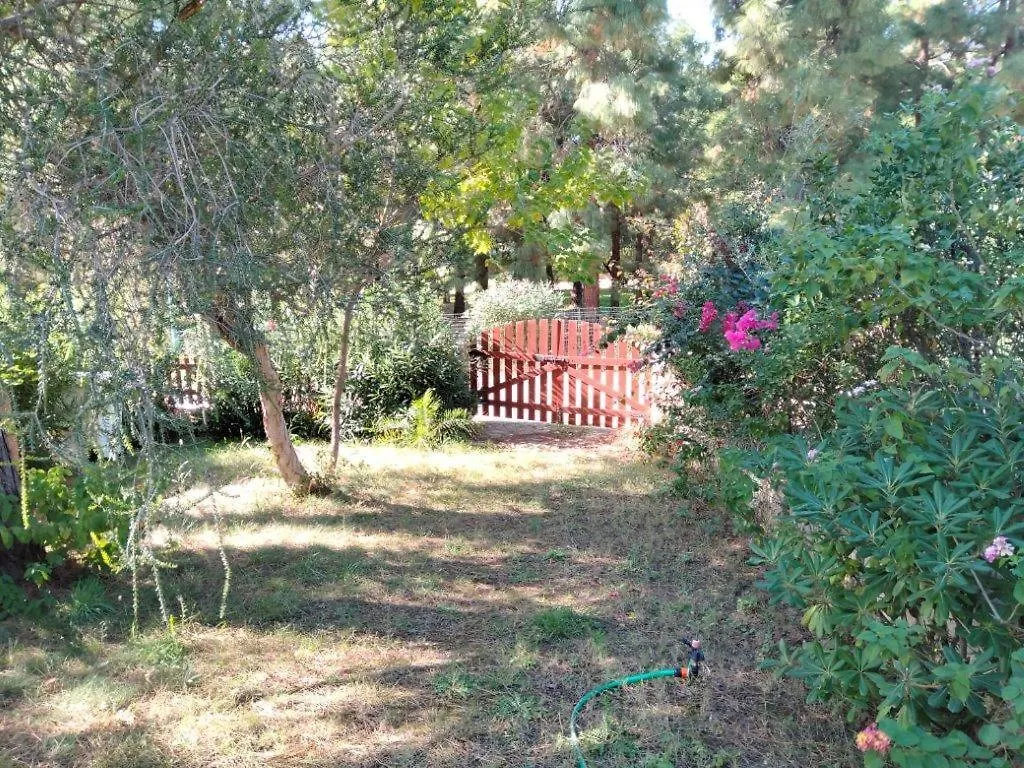 Villa Fiorilla Geremeas Holiday home